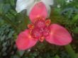 DSC00272.JPG